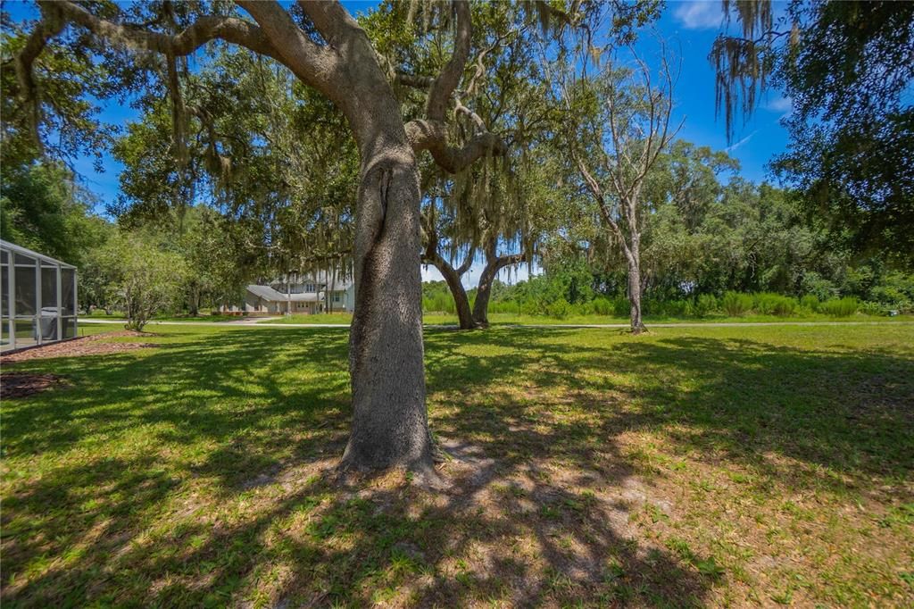 For Sale: $575,000 (3 beds, 3 baths, 2404 Square Feet)