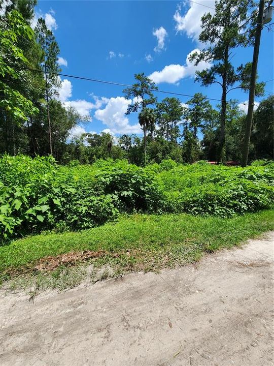 For Sale: $25,000 (0.26 acres)