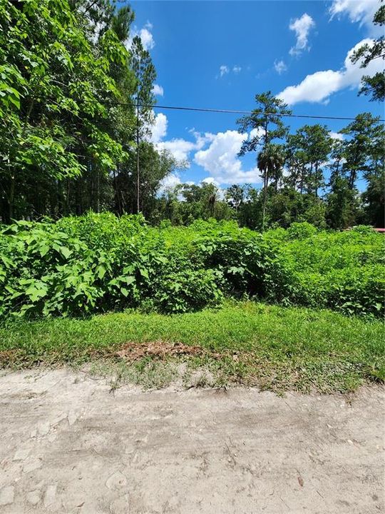 For Sale: $25,000 (0.26 acres)
