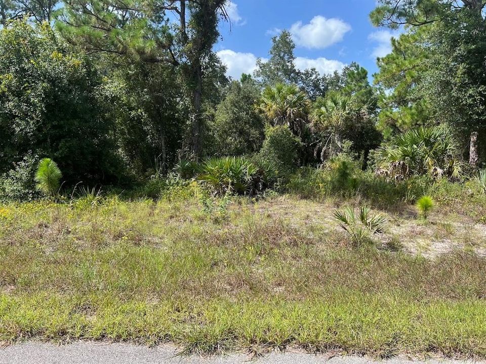 For Sale: $15,000 (0.25 acres)
