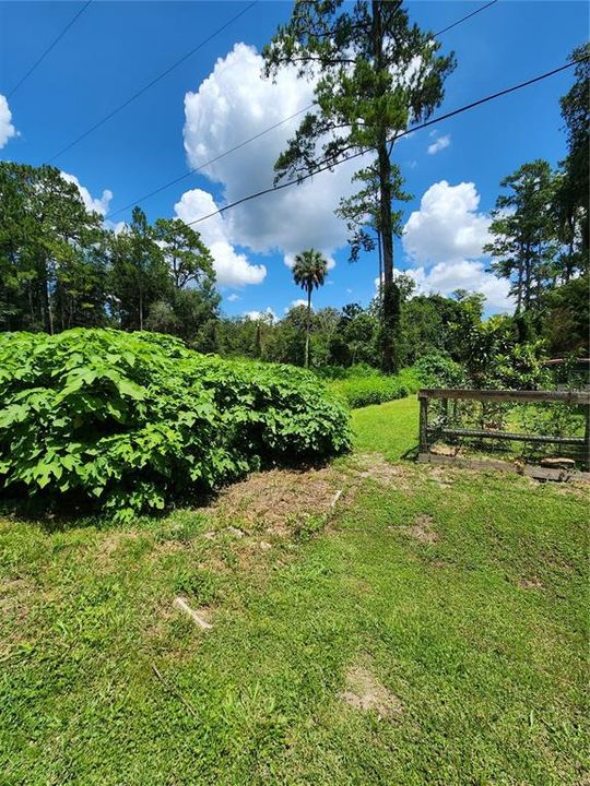 For Sale: $25,000 (0.26 acres)