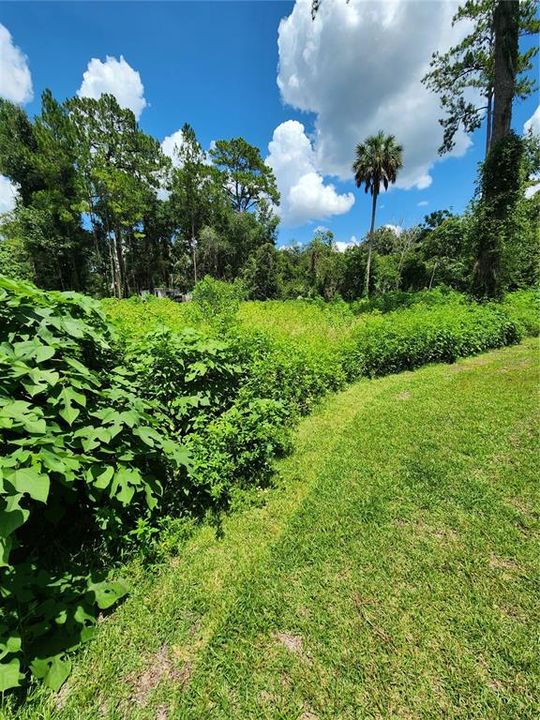 For Sale: $25,000 (0.26 acres)