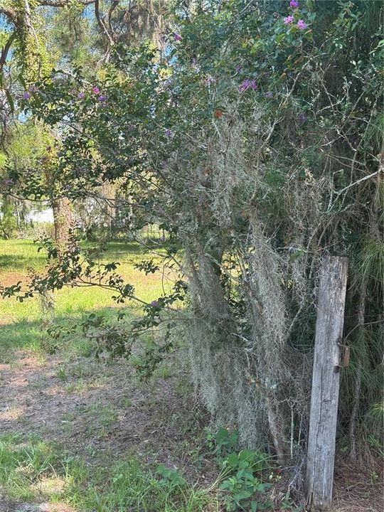 На продажу: $489,900 (5.00 acres)