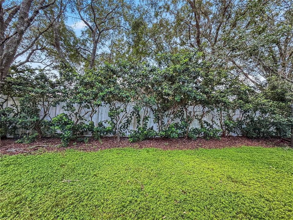 For Rent: $2,725 (4 beds, 2 baths, 2091 Square Feet)