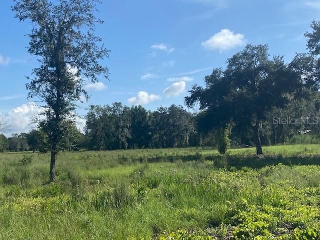 For Sale: $1,925,000 (18.94 acres)