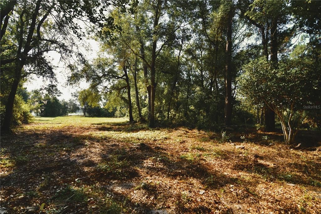待售: $59,000 (1.93 acres)