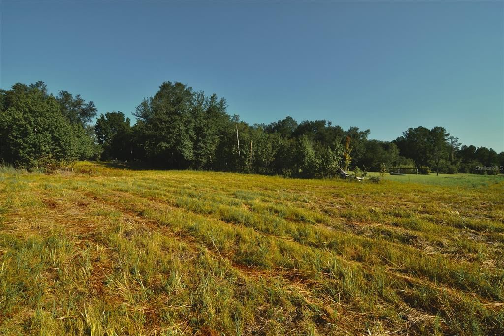 待售: $59,000 (1.93 acres)