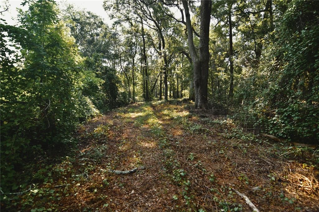 待售: $59,000 (1.93 acres)