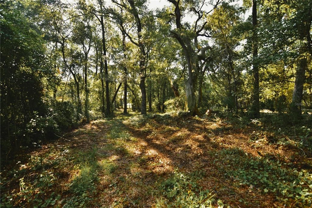 待售: $59,000 (1.93 acres)