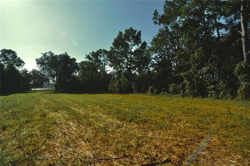 待售: $59,000 (1.93 acres)