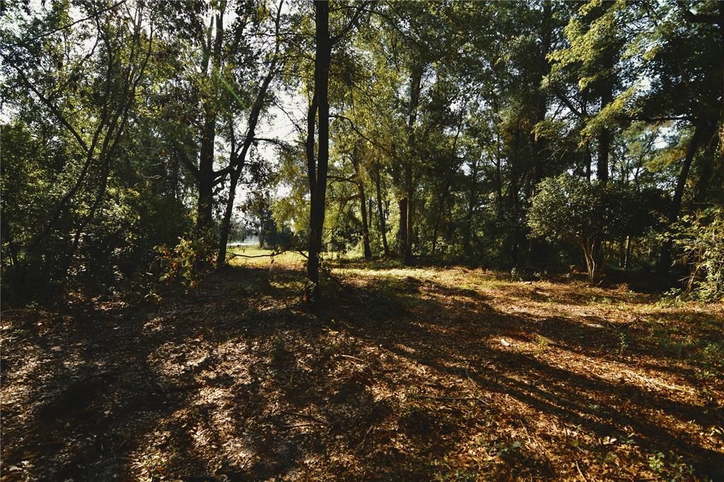 待售: $59,000 (1.93 acres)