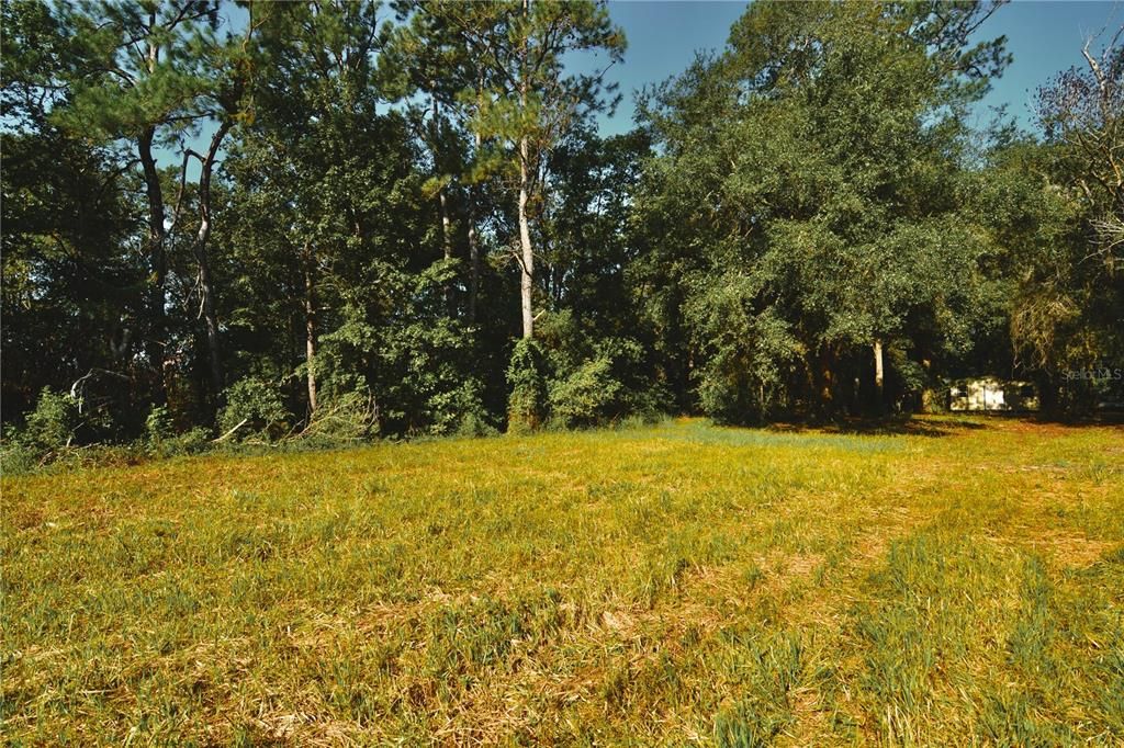 待售: $59,000 (1.93 acres)