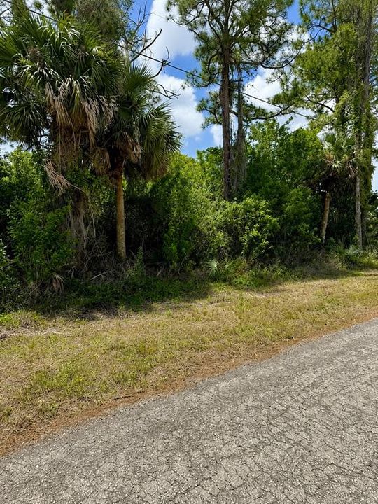 For Sale: $28,900 (0.23 acres)