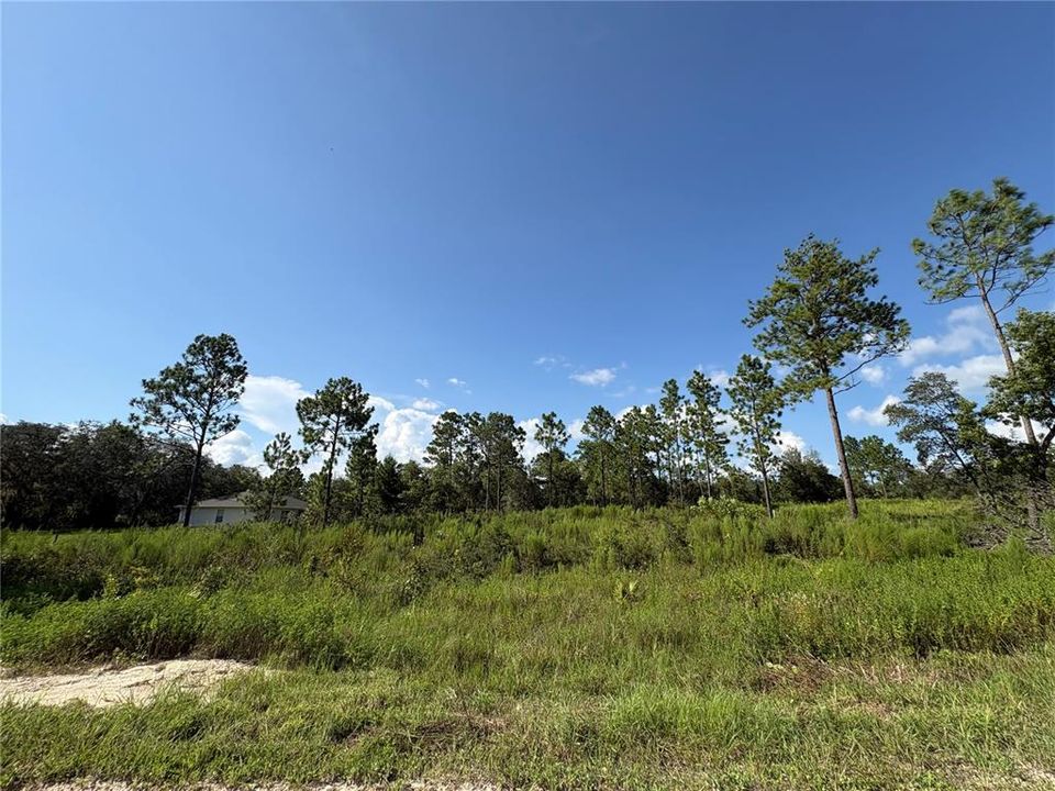 For Sale: $80,000 (1.12 acres)