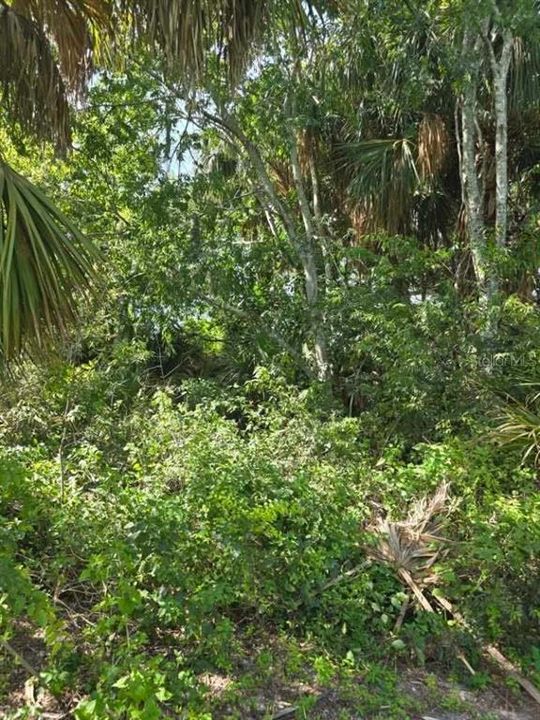 For Sale: $270,000 (4.00 acres)