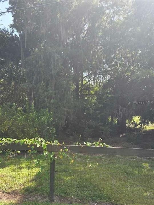 For Sale: $270,000 (4.00 acres)