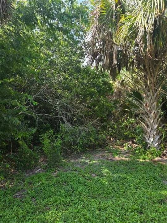 For Sale: $270,000 (4.00 acres)