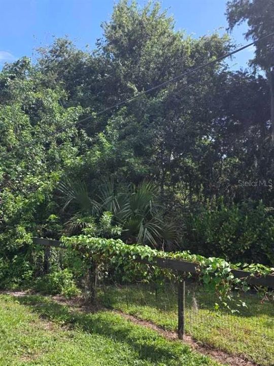 For Sale: $270,000 (4.00 acres)