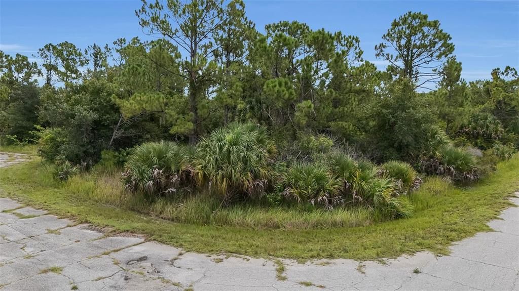 For Sale: $32,000 (0.46 acres)