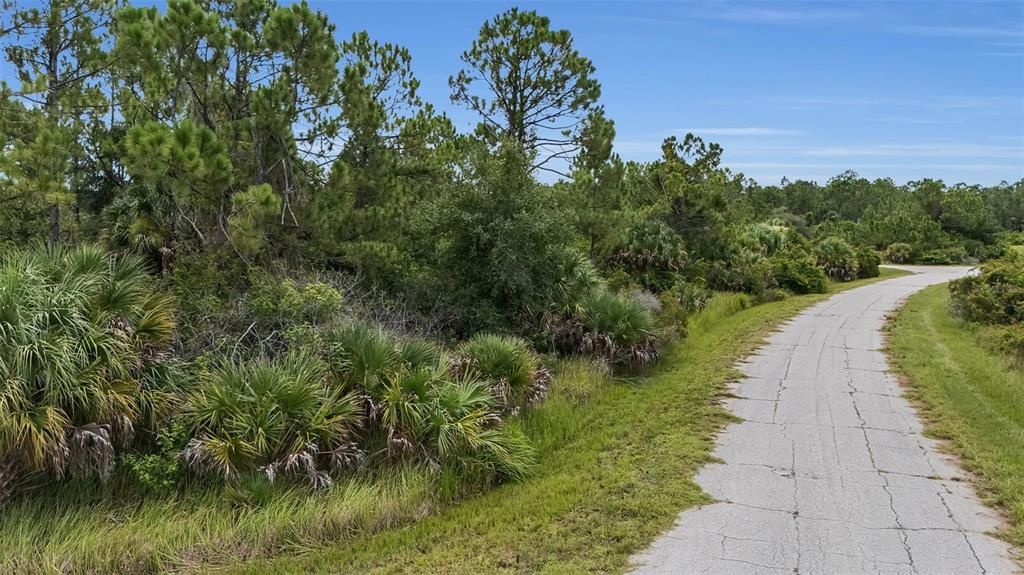 For Sale: $32,000 (0.46 acres)