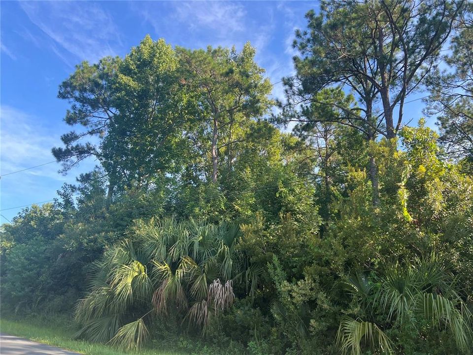 For Sale: $75,000 (0.29 acres)