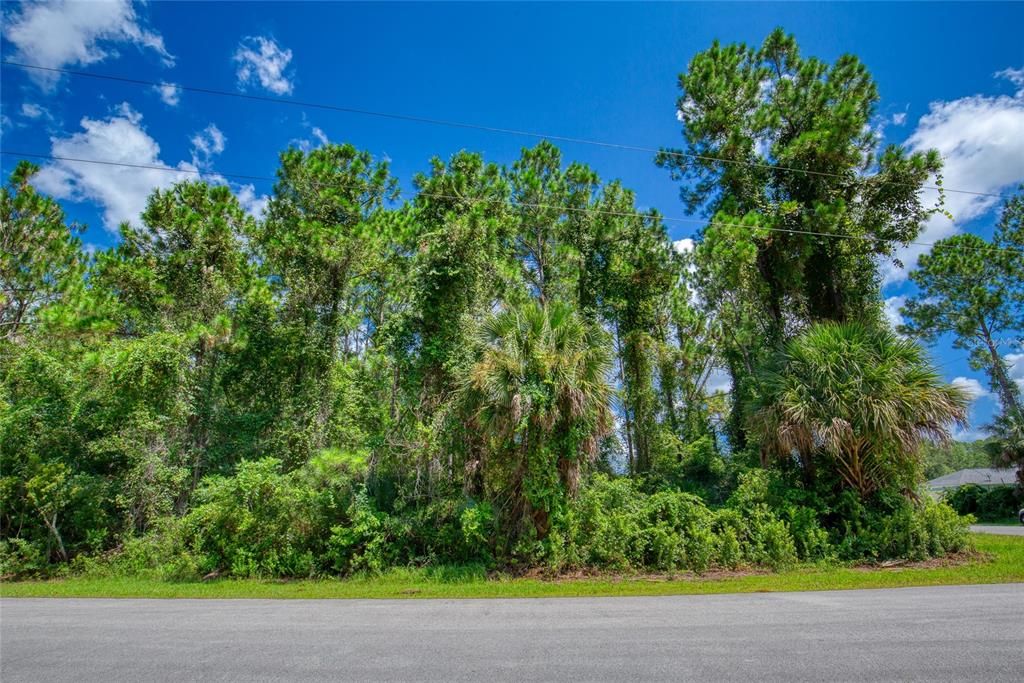 待售: $75,000 (0.29 acres)