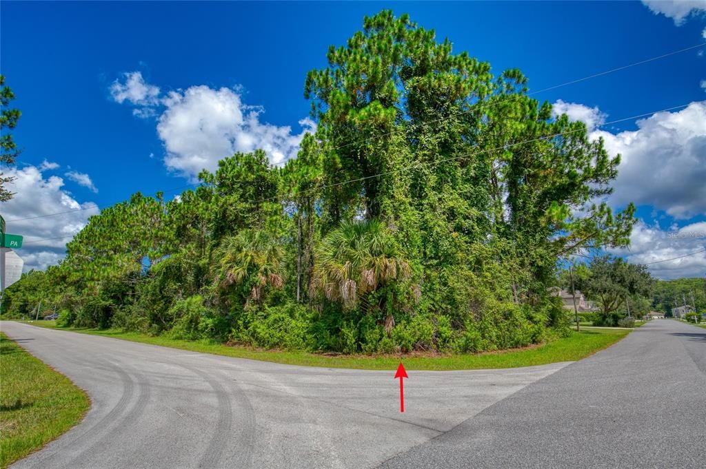 待售: $75,000 (0.29 acres)