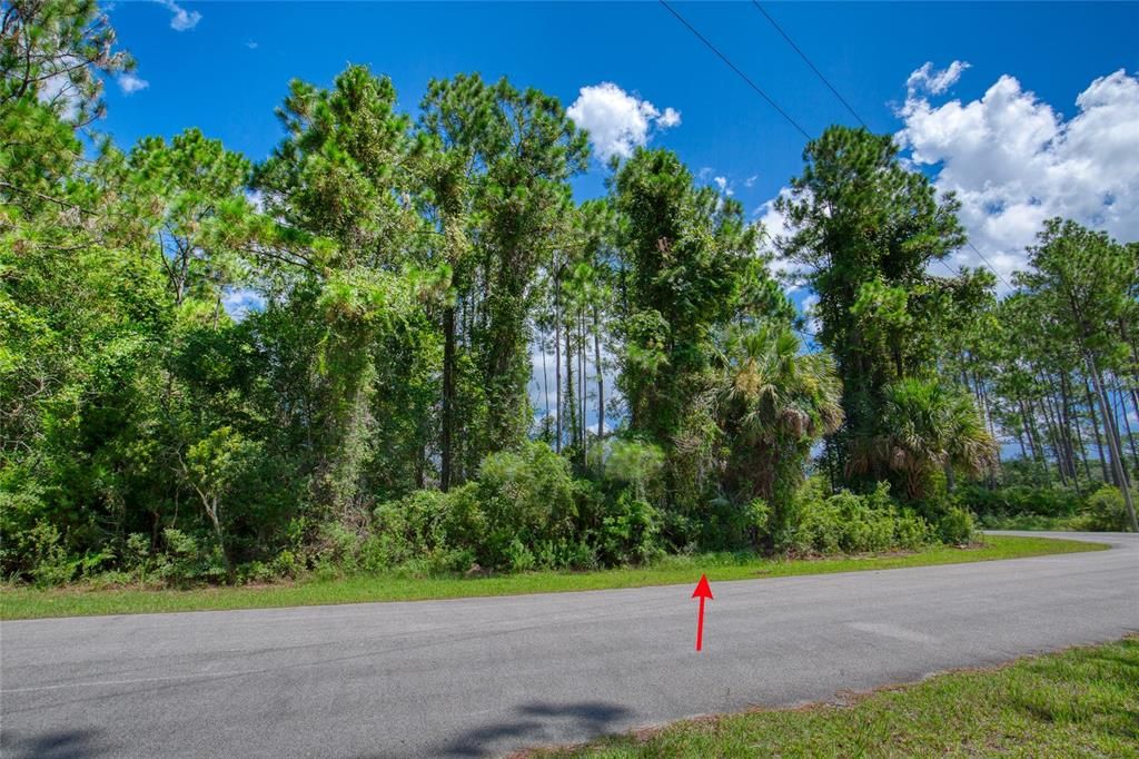 待售: $75,000 (0.29 acres)