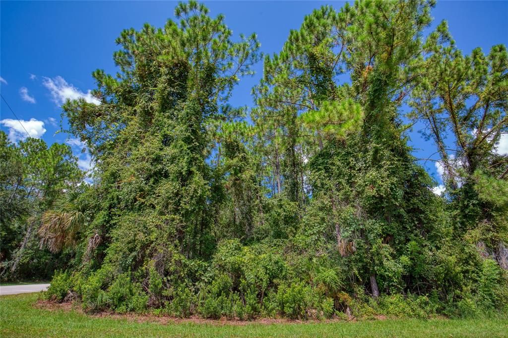 待售: $75,000 (0.29 acres)