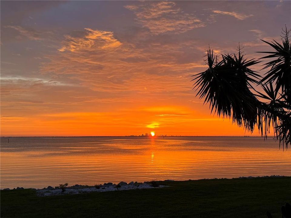 For Sale: $349,000 (1 beds, 1 baths, 1095 Square Feet)