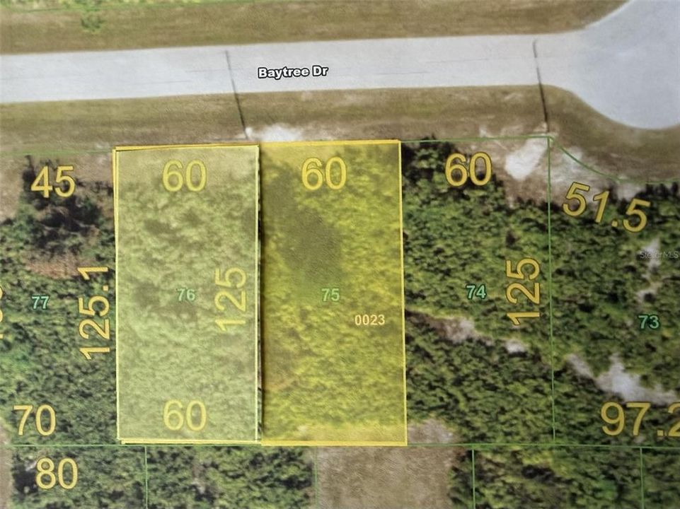 For Sale: $29,500 (0.34 acres)