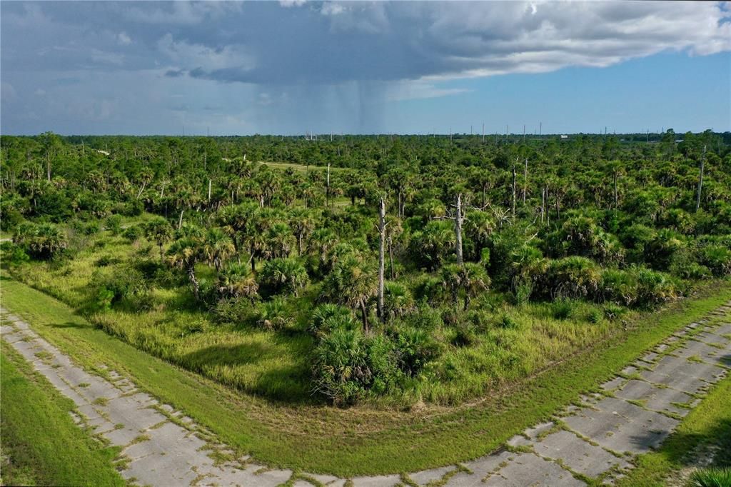 For Sale: $9,500 (0.28 acres)