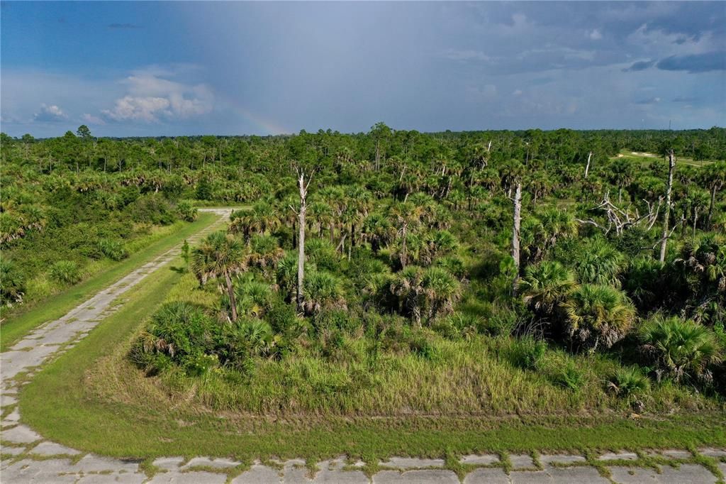 For Sale: $9,500 (0.28 acres)
