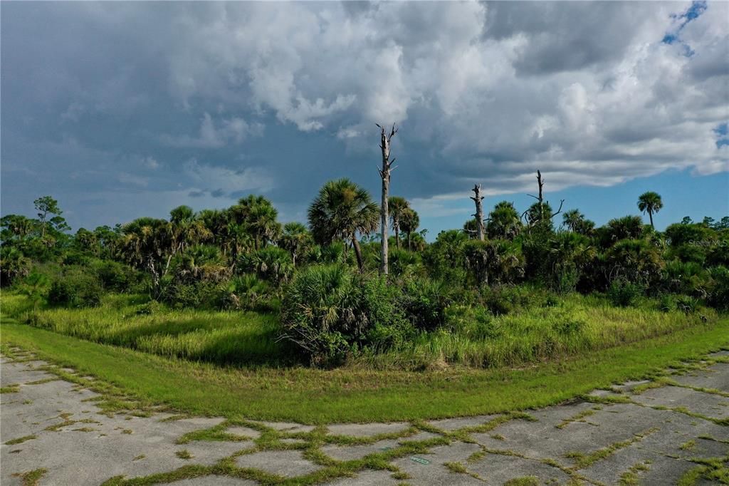For Sale: $9,500 (0.28 acres)