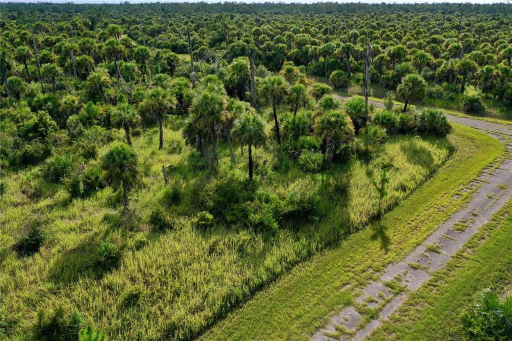 For Sale: $9,500 (0.28 acres)