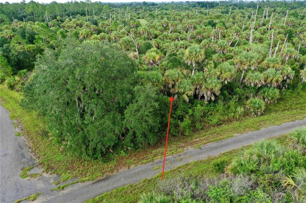 For Sale: $9,900 (0.32 acres)