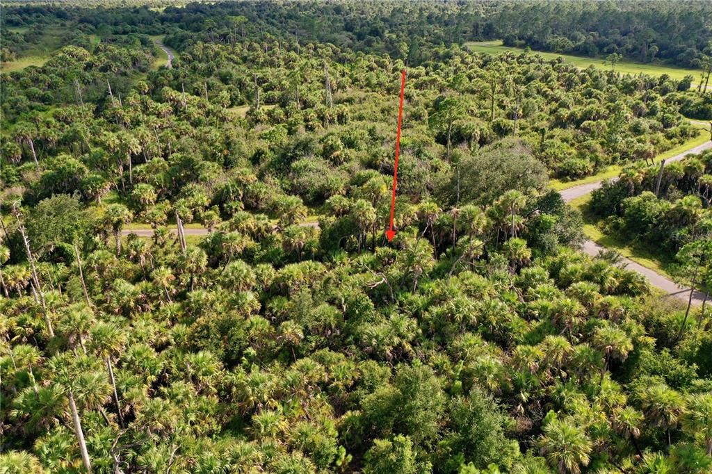 For Sale: $9,900 (0.32 acres)