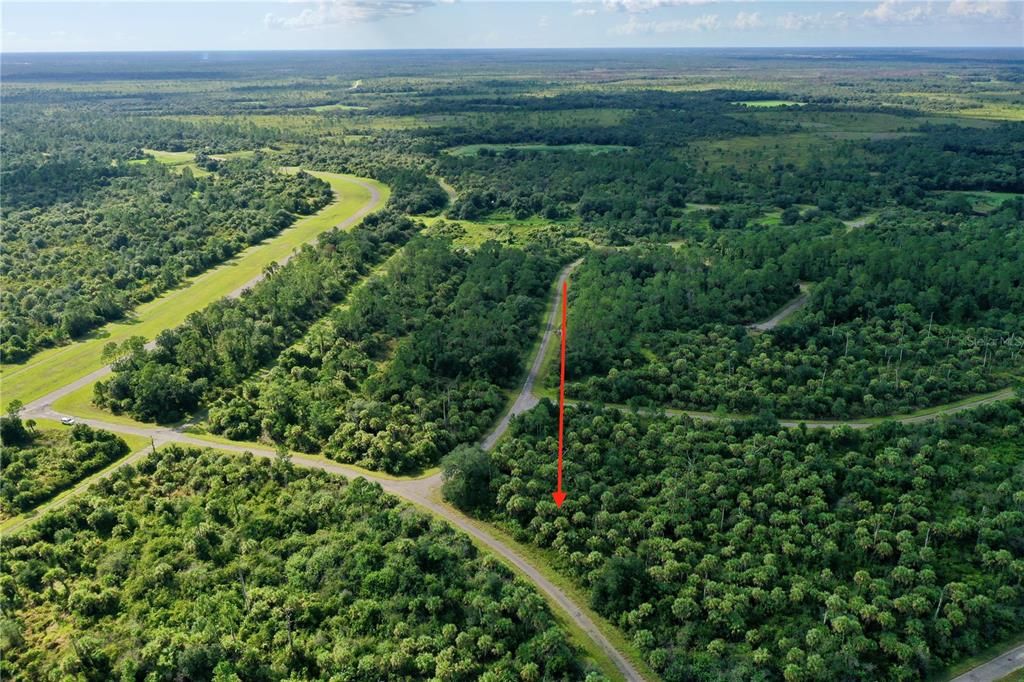 For Sale: $9,900 (0.32 acres)