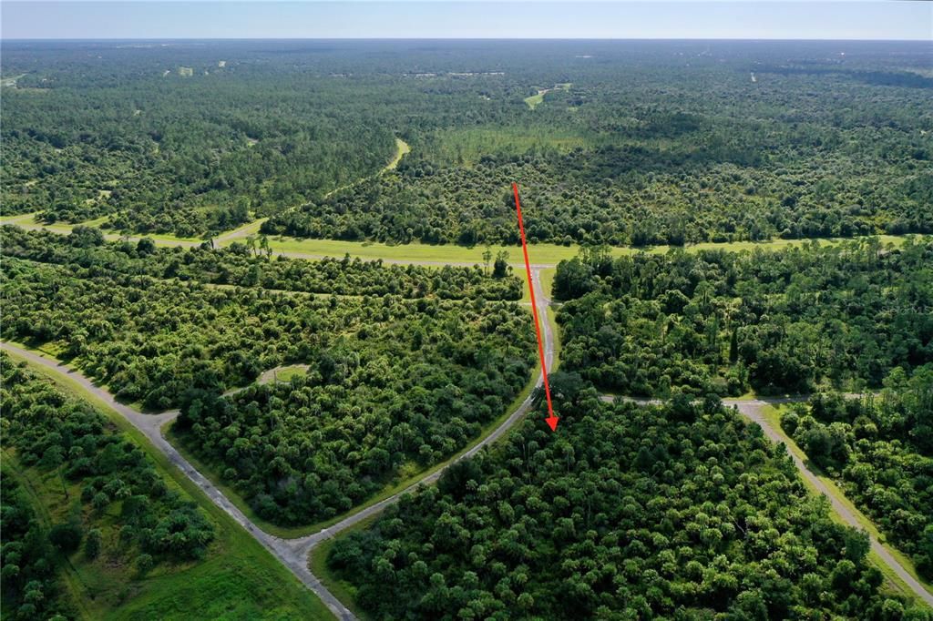 For Sale: $9,900 (0.32 acres)