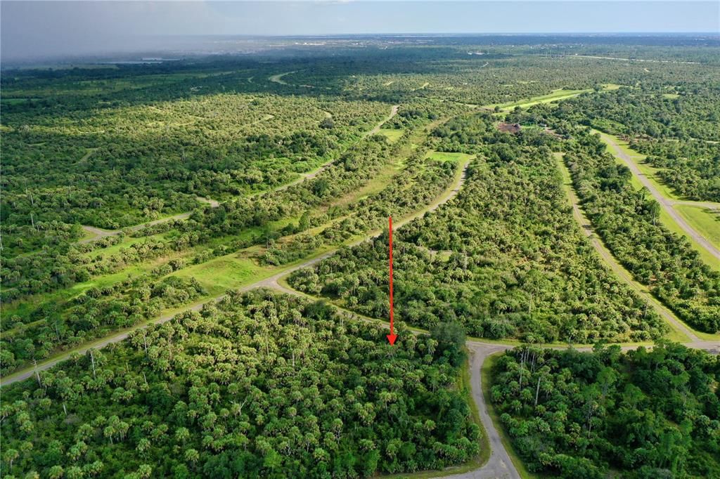 For Sale: $9,900 (0.32 acres)