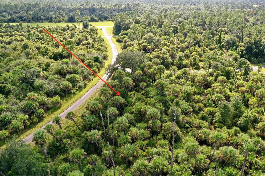 For Sale: $9,900 (0.32 acres)