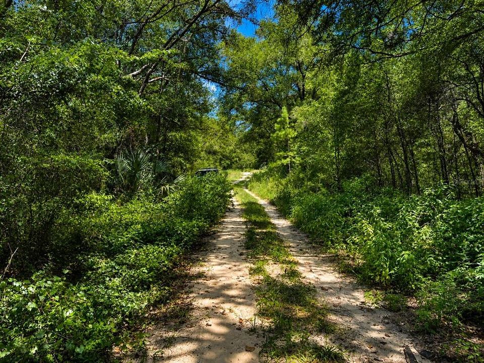 待售: $29,900 (0.46 acres)