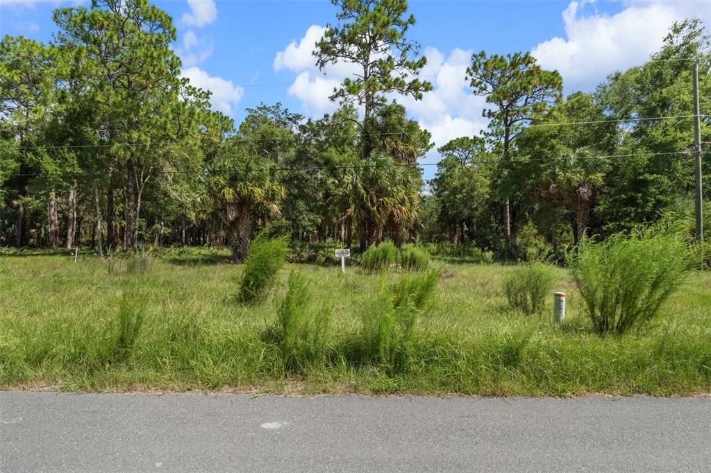 待售: $109,000 (1.88 acres)