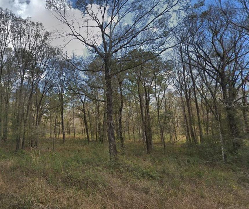 待售: $30,000 (1.14 acres)
