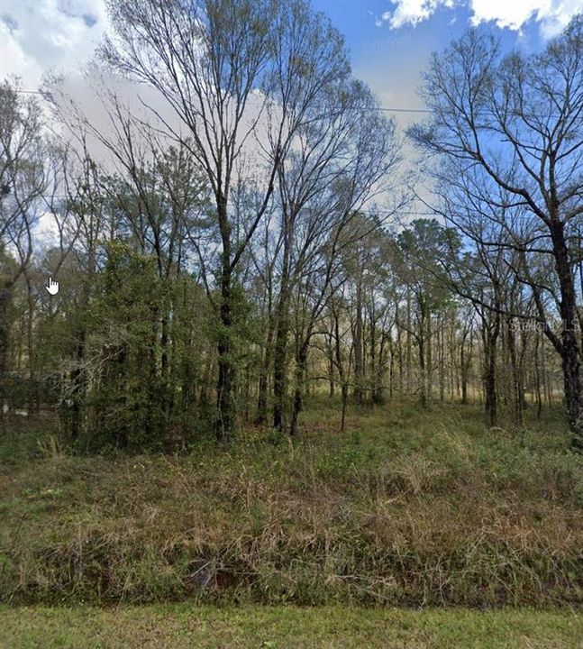 待售: $30,000 (1.14 acres)