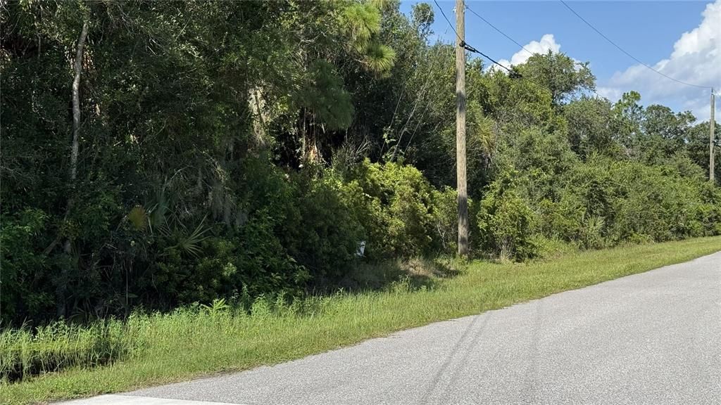 For Sale: $19,900 (0.23 acres)