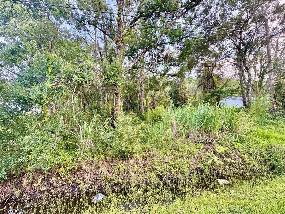 На продажу: $78,000 (0.41 acres)