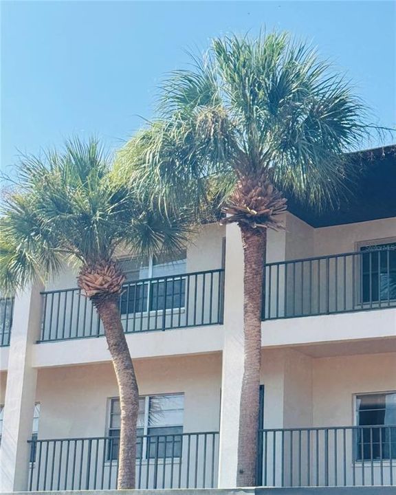 For Rent: $1,295 (1 beds, 1 baths, 593 Square Feet)