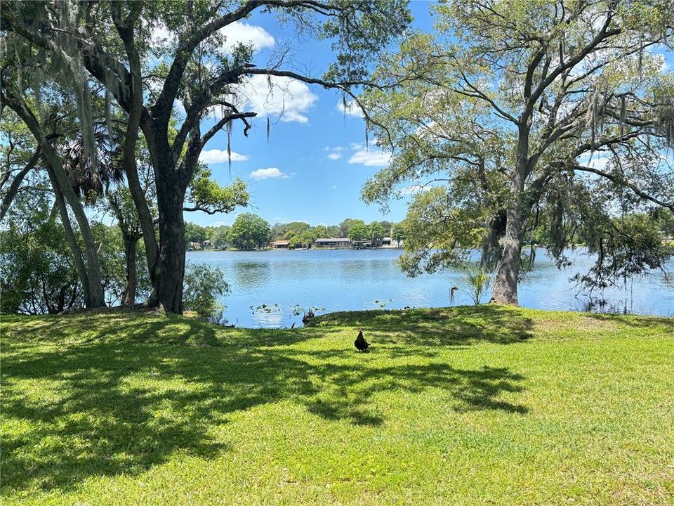 For Rent: $1,175 (1 beds, 1 baths, 504 Square Feet)