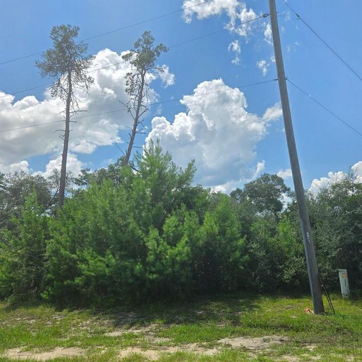 For Sale: $49,500 (0.25 acres)